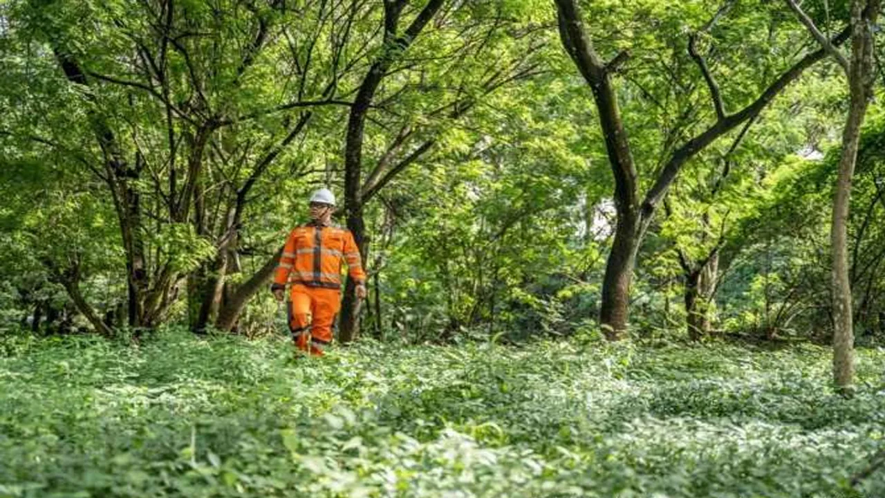 Kontribusi PT Semen Indonesia Tbk dalam Pelestarian Lingkungan Melalui Pendirian Hutan Kota di Cilacap